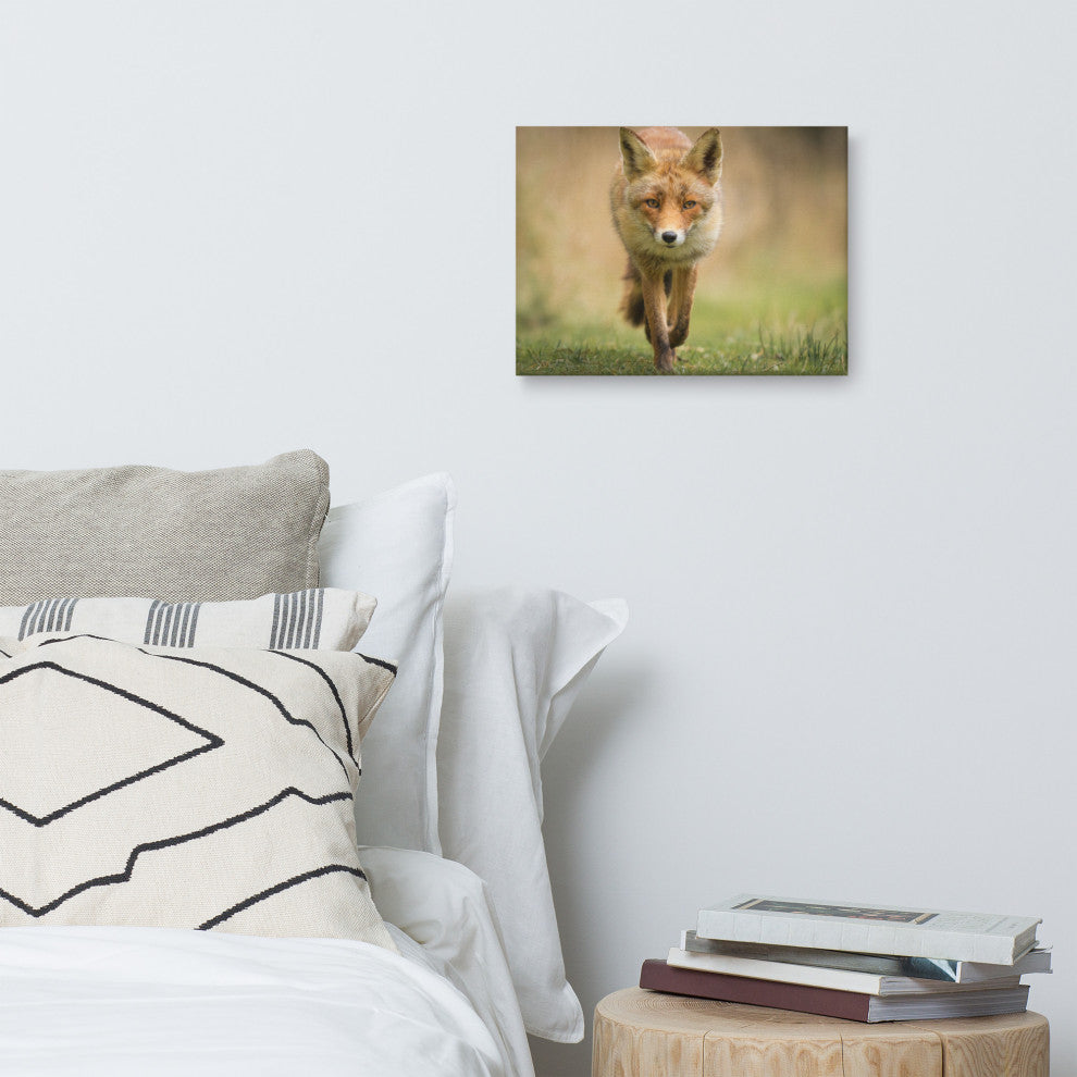 Young Female Red Fox In Forest Animal Wildlife Photograph Canvas Wall Art Print, 12" X 16"