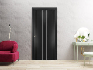Bi-fold Doors 48 x 96 | Planum 0410 Matte Black with  | Sturdy Tracks