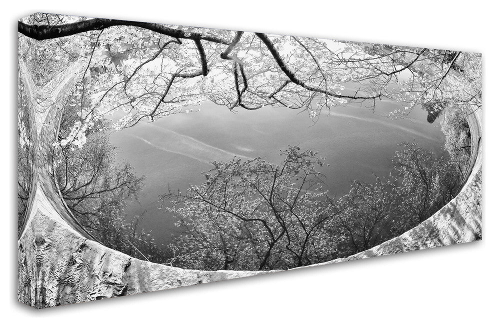CATeyes ''Reflection'' Canvas Art, 47x24