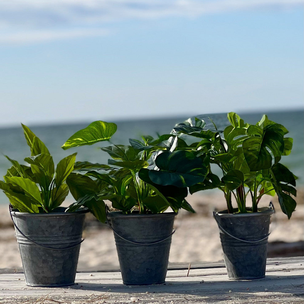 Grey Zinc Pail Planters, Set of 3