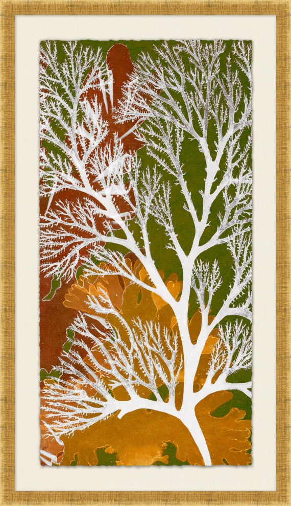 Colorful Reef 2, Giclee Reproduction Artwork