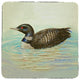 Loon Coaster - 3 Sets of 4 (12 Total)