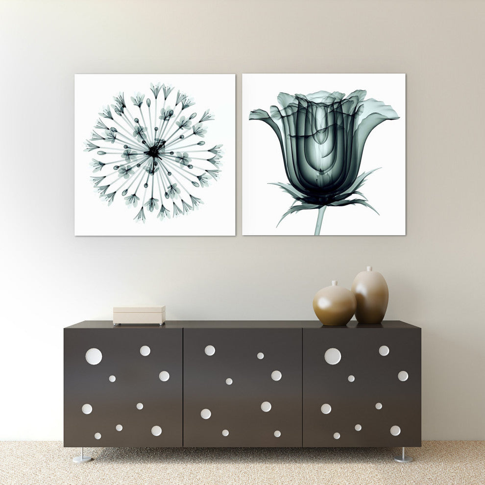 African Bluebell and Rose Veil, Flower Wall Art Tempered Glass Panel Artwork