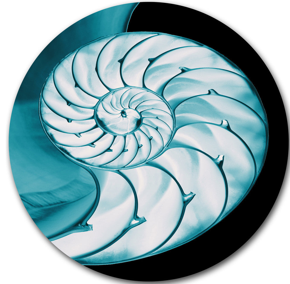 Chambered Nautilus Shell, Abstract Art Large Disc Metal Wall Art, 36"