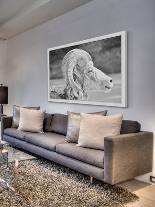 Marmont Hill, "Ram Profile 2" Framed Painting Print, 30x20