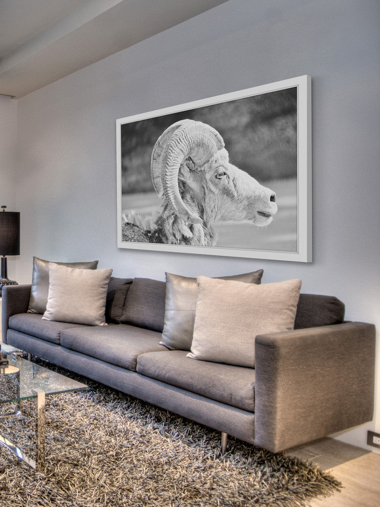 Marmont Hill, "Ram Profile 2" Framed Painting Print, 30x20
