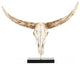Bull Skull With Base
