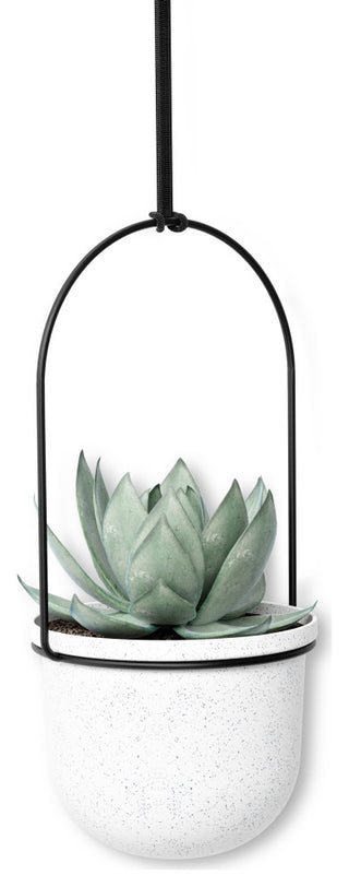 Umbra Triflora Hanging Planter, Set of 5 White