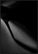 "Black Heel Down" Framed Canvas Giclee by Erik Schottstaedt, 22x31"