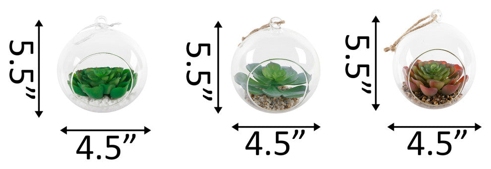Set Of 3 Faux Succulent In Glass Globe