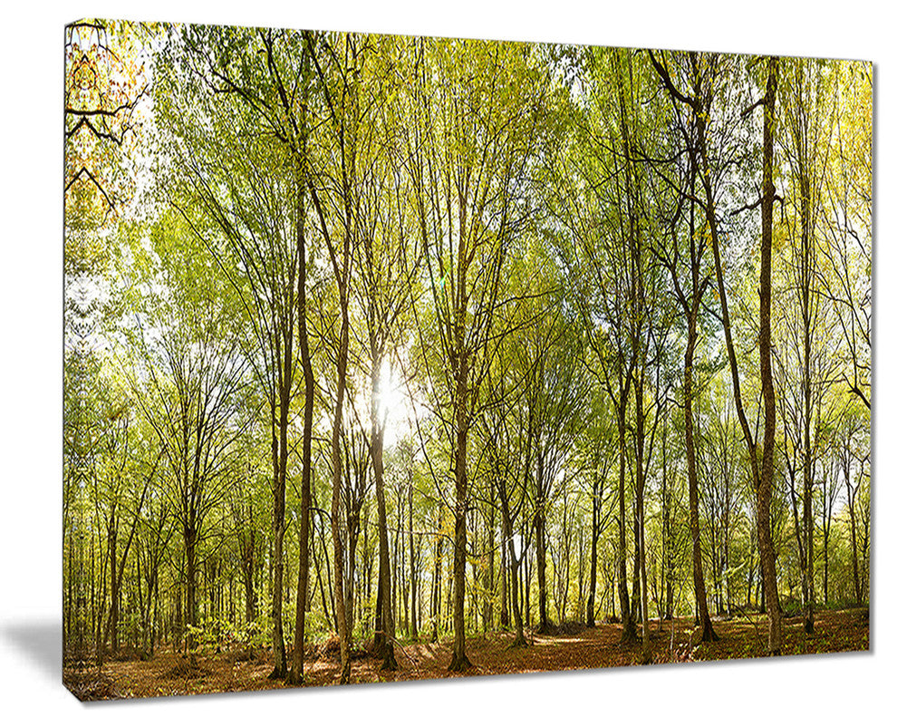"Green Forest Panoramic View" Canvas Print