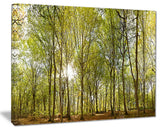 "Green Forest Panoramic View" Canvas Print