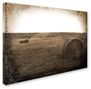 Tina Lavoie 'Time Jump' Canvas Art, 14" x 19"