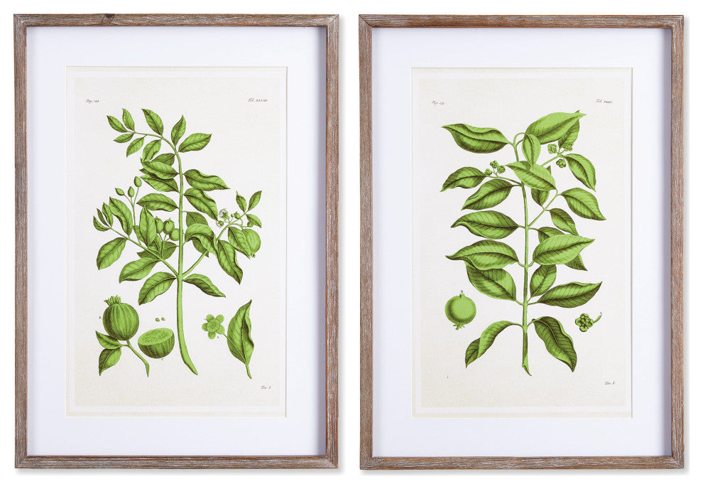 Guava Prints, Set of 2