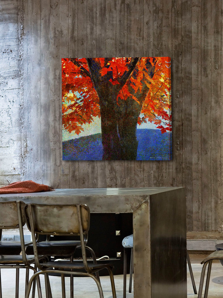 "Brilliant Fall Maple I" Painting Print on Canvas by Chris Vest
