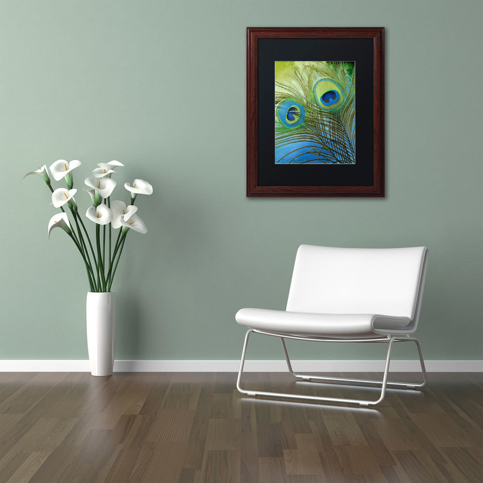 Color Bakery 'Peacock Candy I' Art, Wood Frame, Black Matte, 11"x14"