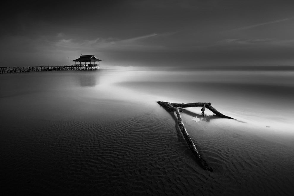 Dramatic Beach Driftwood Black & White Coastal Landscape Photo CanvasArt Print, 12" X 16"