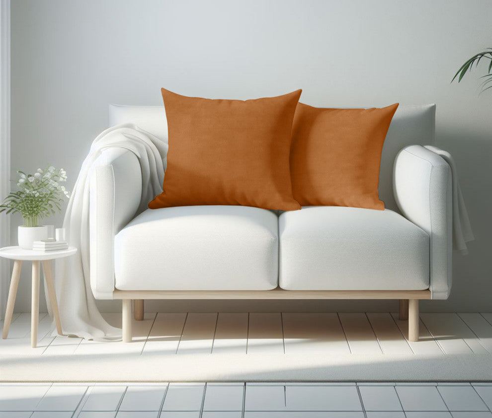 A1HC Soft Velvet Pillow Covers, YKK Zipper, Set of 2, Brown Derby, 24"x24"