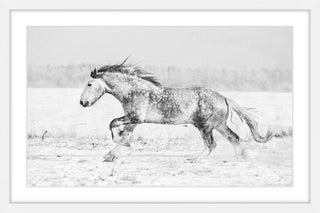 Marmont Hill, "Galloping Joy" Framed Painting Print