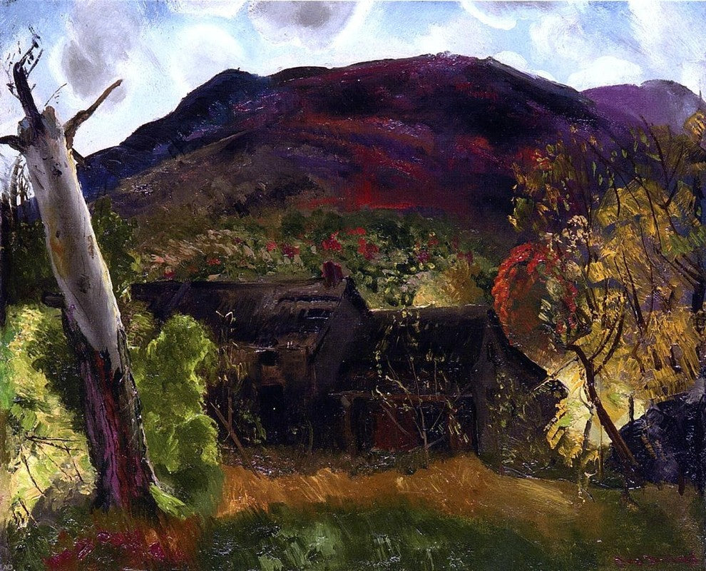 George Wesley Bellows Blasted Tree and Deserted House Gallery Wrapped Canvas