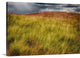 "Grasses On A Stormy Day" Wrapped Canvas Art Print, 48"x32"x1.5"