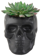 4.5X3.5 Ceramic Sugar Skull Succ, Matt Black