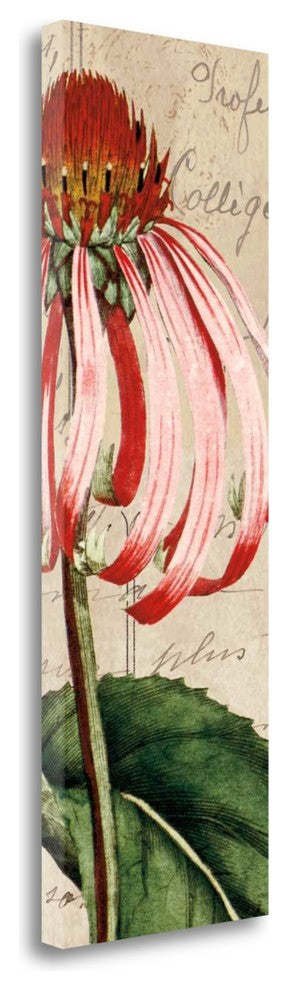 "Jardin Botanique I" By Sabine Berg, Giclee Print on Gallery Wrap Canvas