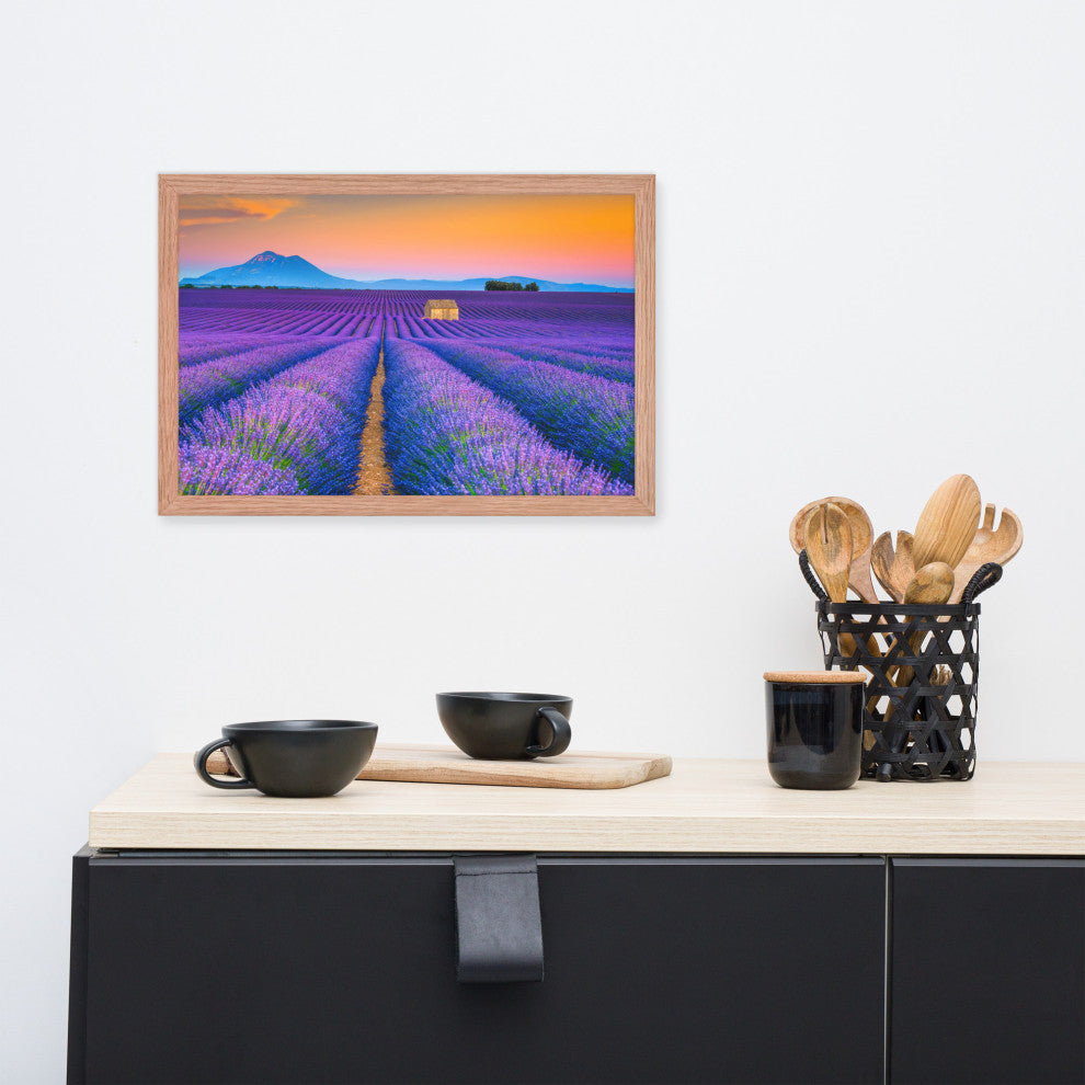 Blooming Lavender Field and Sunset Floral Landscape Framed Photo Wall Art Prints, Red Oak, 12" X 18"