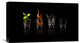 "Elements" Stretched Canvas Giclee by Jose Maria Frutos, 22"x13"