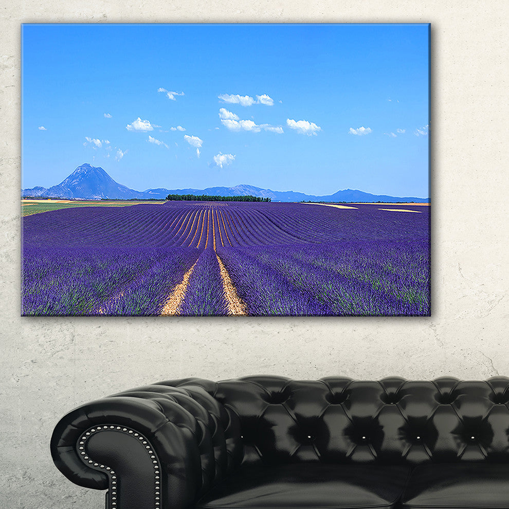 "Lavender Blooming Fields And Trees" Landscape Wall Art Print, 32"x16"