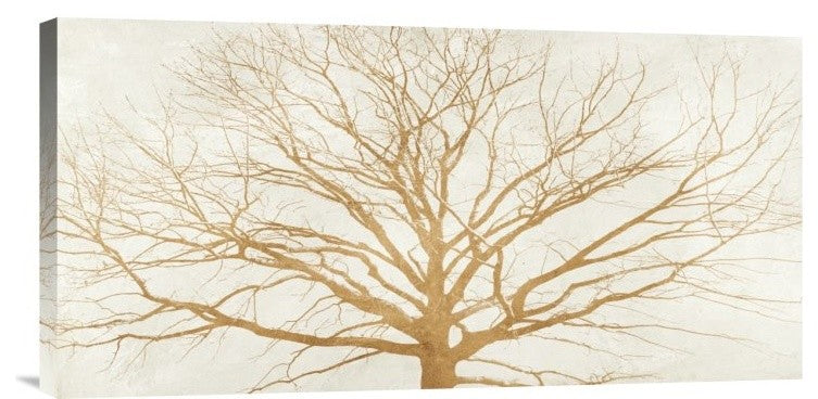 "Tree of Gold" Stretched Canvas Giclee by Alessio Aprile, 24x12"