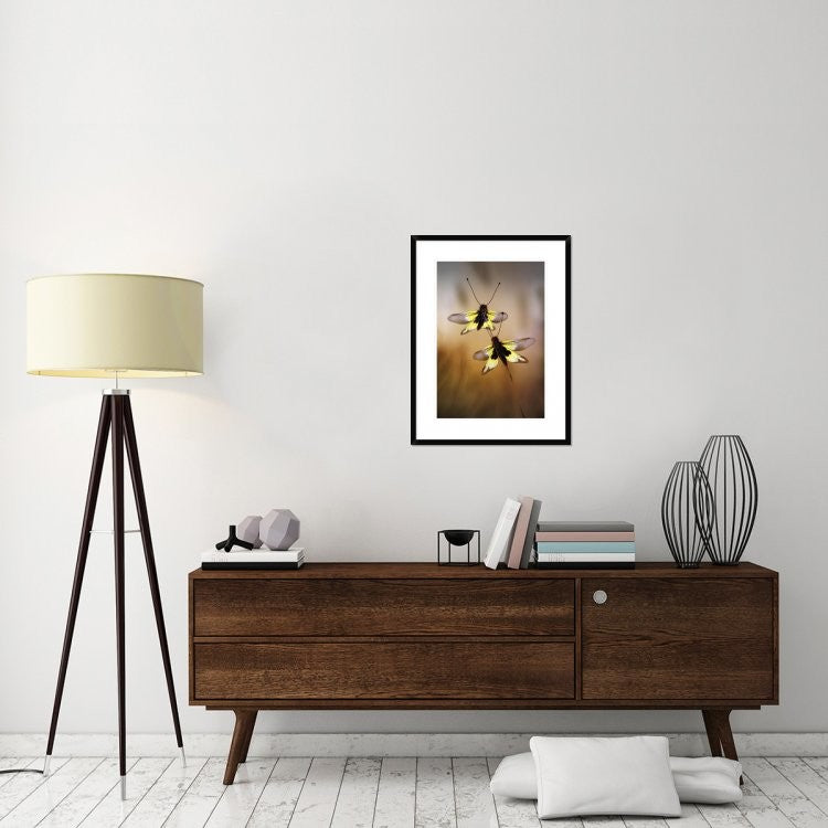 "Owlflies" Framed Digital Print by Jimmy Hoffman, 24x32"