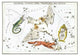 Cygnus and Adjacent Constellations- Paper Poster 20" x 30"