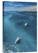 "Above The Race" Stretched Canvas Giclee by Marc Pelissier, 12x18"