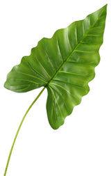 Philo Leaf, Set of 3, Small