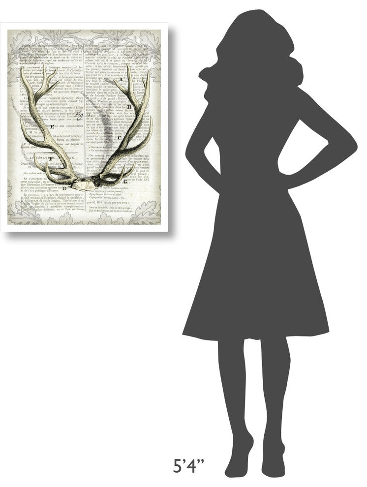"Regal Antlers on Newsprint I" Digital Paper Print by Sue Schlabach, 24"x30"