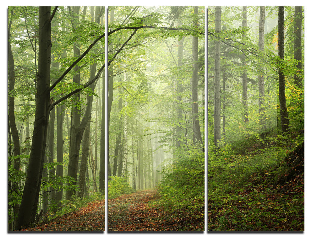 "Early Green Fall Forest" Photo Metal Wall Art, 3 Panels, 36"x28"