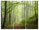 "Early Green Fall Forest" Photo Metal Wall Art, 3 Panels, 36"x28"