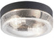 Saddletree 2 Light Outdoor Ceiling Light, Textured Black