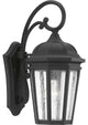 Verdae 1-Light Medium Wall Lantern