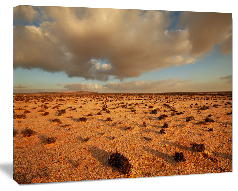Desert in Western Sahara, Landscape Canvas Art Print, 60"x28"