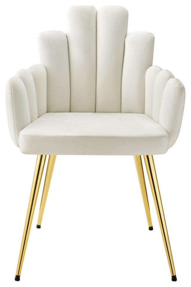 Dining Chair, Set of 2, White Gold, Velvet, Modern Cafe Bistro Hospitality