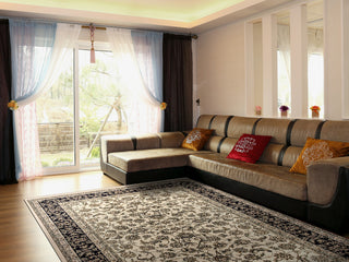 Brilliant Rug, 6'7"x9'10"