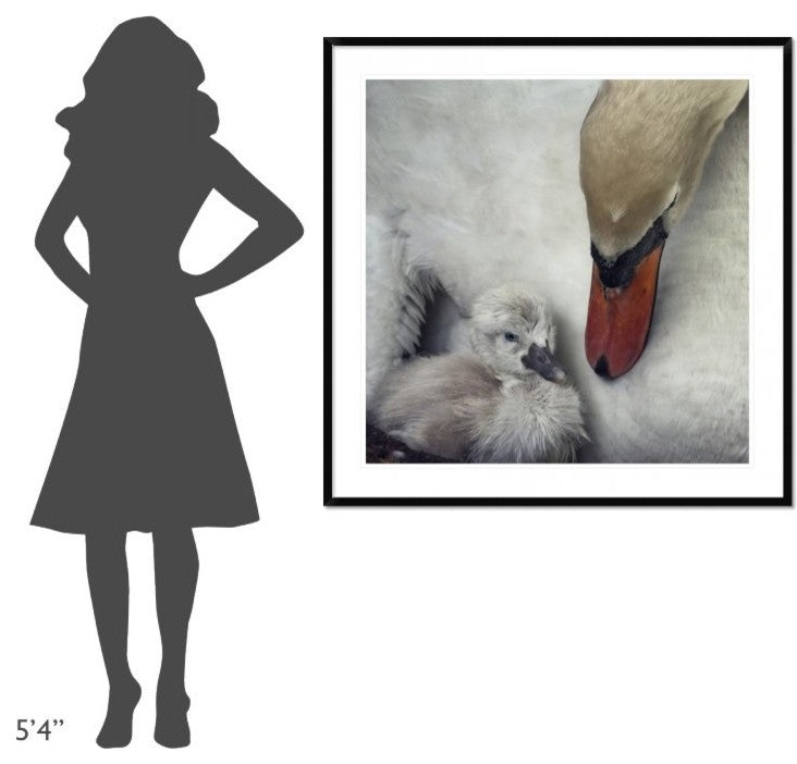 "Close To You" Framed Digital Print by Piet Flour, 44x44"
