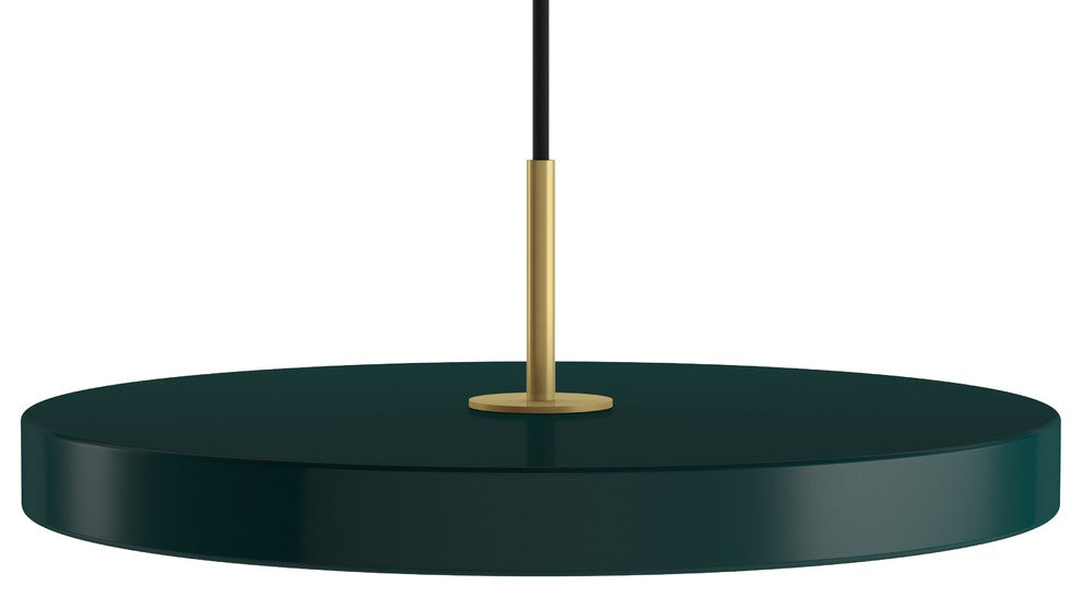 Asteria Flat-Panel LED Pendant Light, Forest