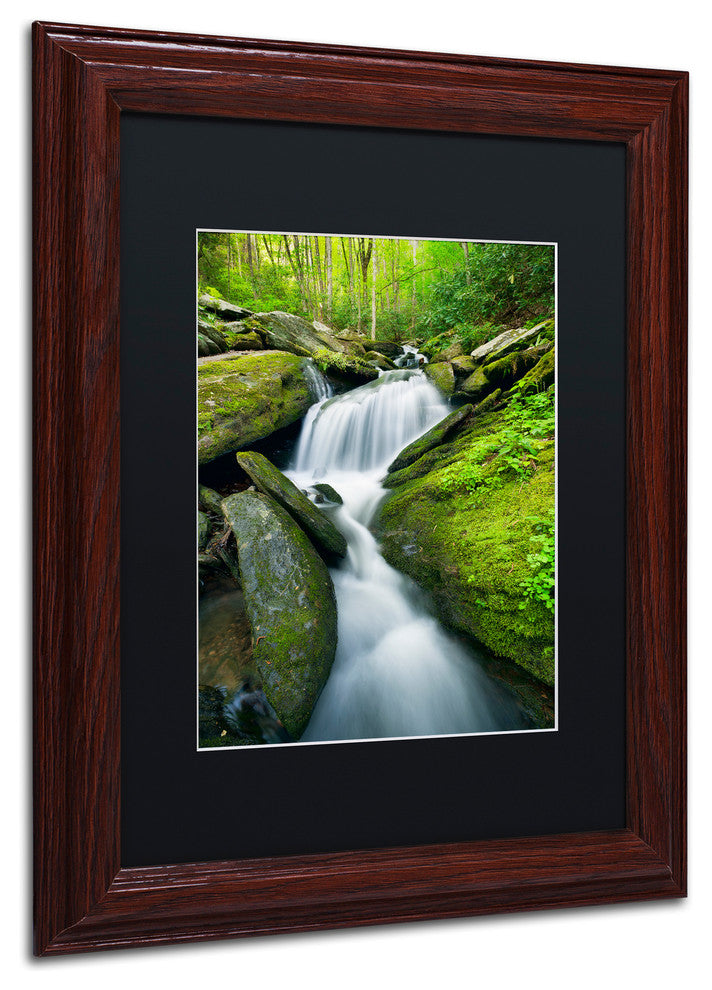 Michael Blanchette 'Cascade Mossy Rocks' Art, Wood Frame, Black Mat, 14x11