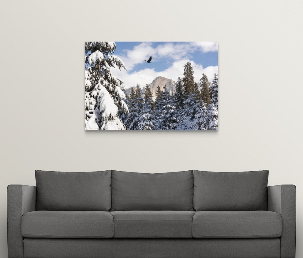 "Free as a Bird" Wrapped Canvas Art Print, 48"x32"x1.5"