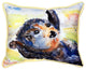 Betsy Drake Otter Extra Large 20 X 24 Indoor / Outdoor Pillow