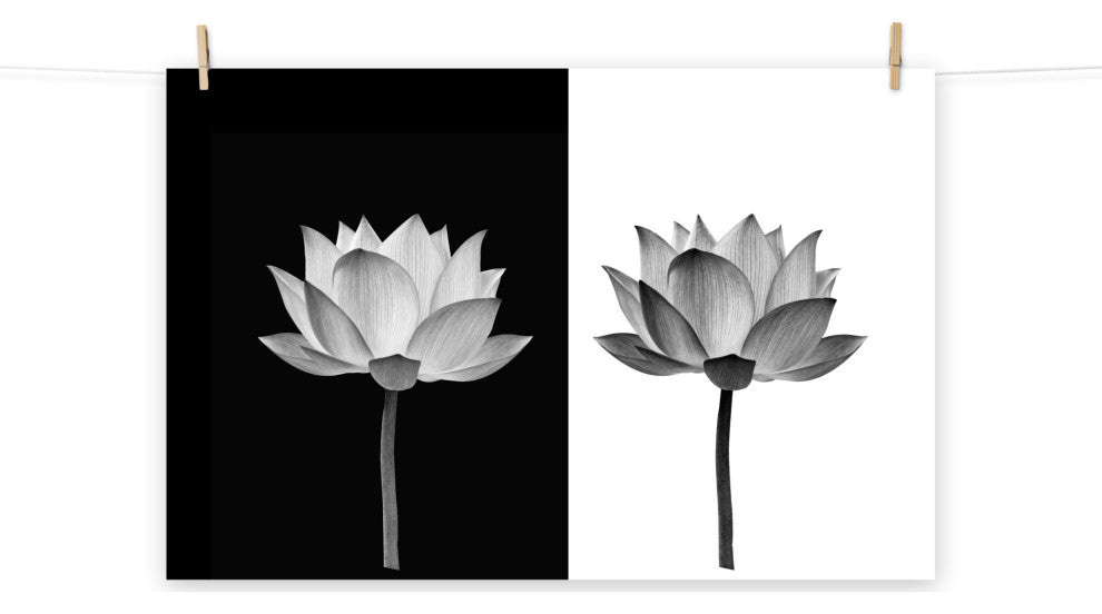 Floral Wall Art Lotus Flower on Black and White Floral Photo Print, 8"