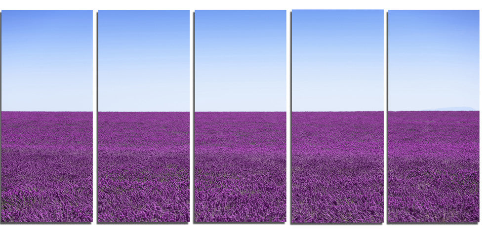 "Lavender Flowers With Blue Horizon" Landscape Wall Art Print, 5 Panels, 60"x28"